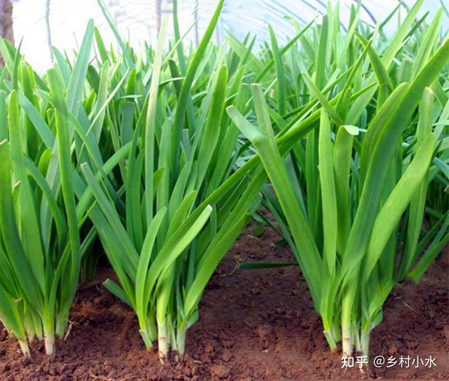 1760927910427600.jpg v2-b7399d5757f51534b4625f03fd99e835_1440w.jpg