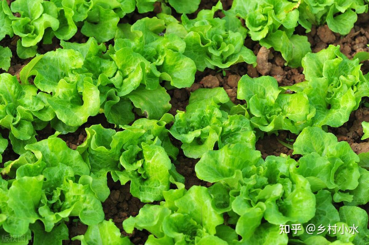 1760927859512047.jpg v2-a73b864e65c6ea596dd482b07b281dc9_1440w.jpg