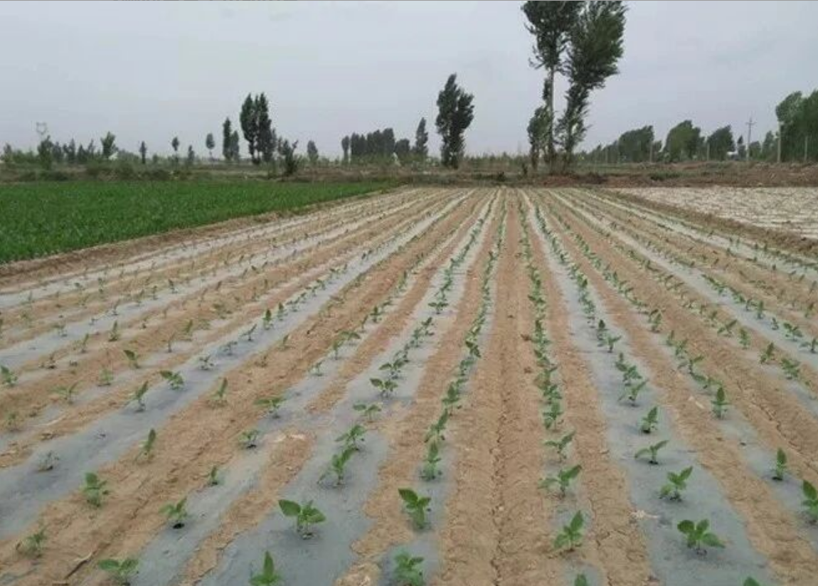 1765694207602476.png ScreenShot_2025-12-14_143155_286.png