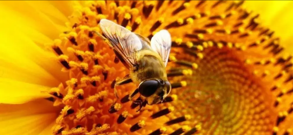 1765686939985863.png ScreenShot_2025-12-14_115835_840.png