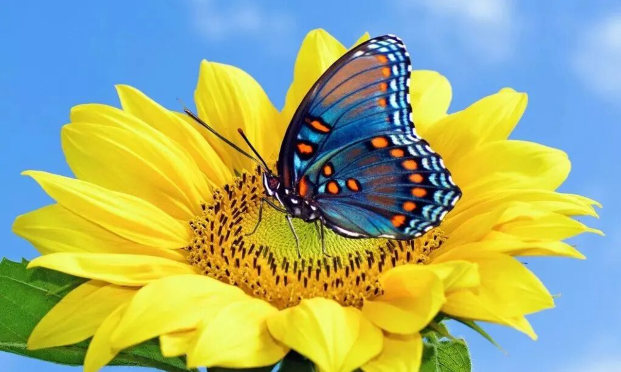 1765684278614027.png ScreenShot_2025-12-14_115131_179.png