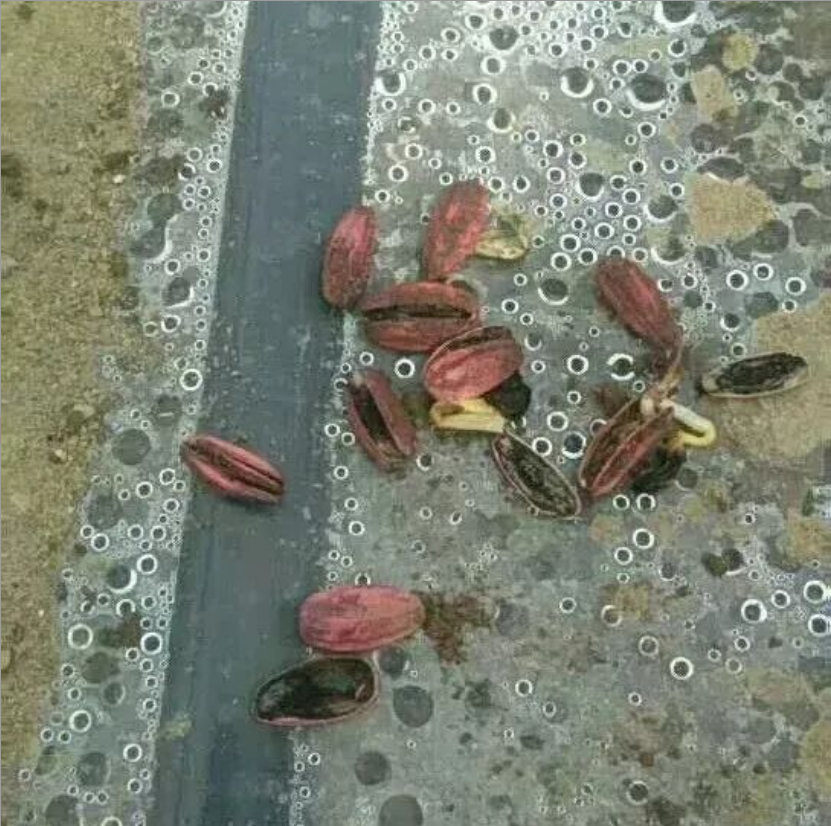 1765694143800855.png ScreenShot_2025-12-14_143302_627.png