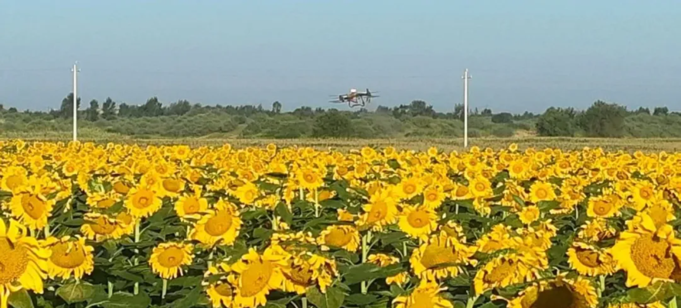 1765687050530552.png ScreenShot_2025-12-14_120002_690.png