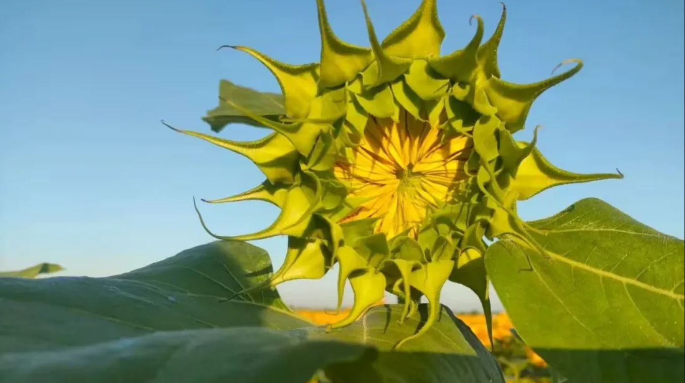 1765687038619178.png ScreenShot_2025-12-14_115915_888.png