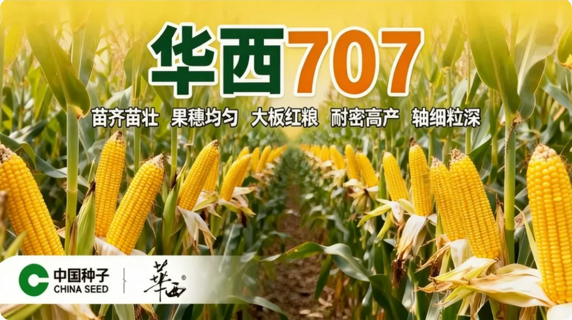 1765787409806086.png 联想截图_20251213140221.png