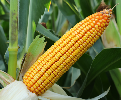 1765787469930284.png 微信图片_2025-12-15_162934_955.png