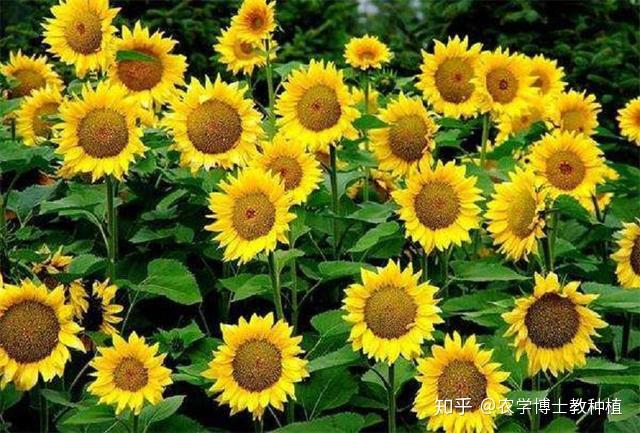 1765764079526009.jpg v2-930eb709f9fded7171fa8f5f8ce2e47d_r.jpg