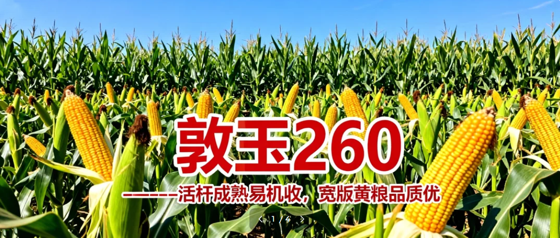 1765789120594391.png ScreenShot_2025-12-10_140645_984.png