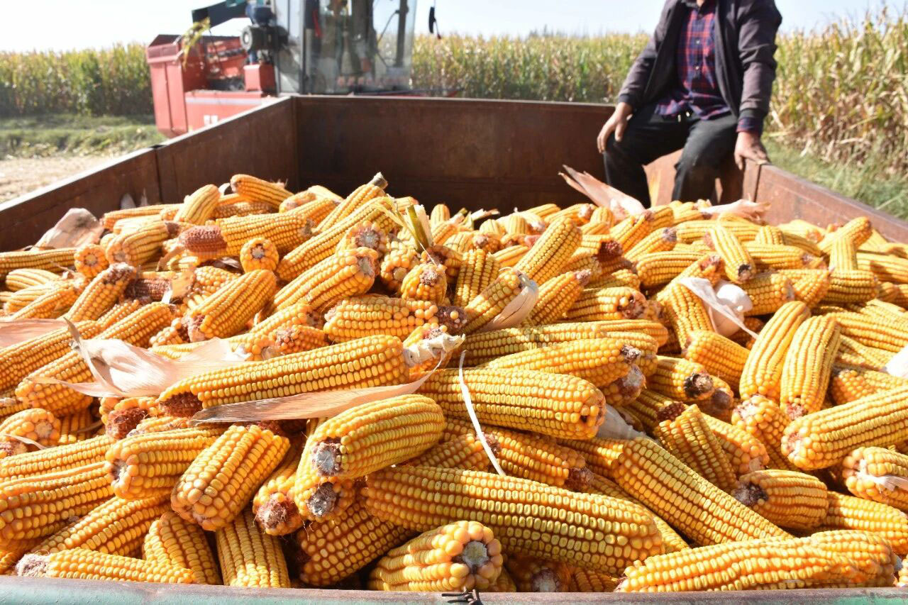 1765788941451784.jpg 微信图片_2025-12-15_165403_353.jpg