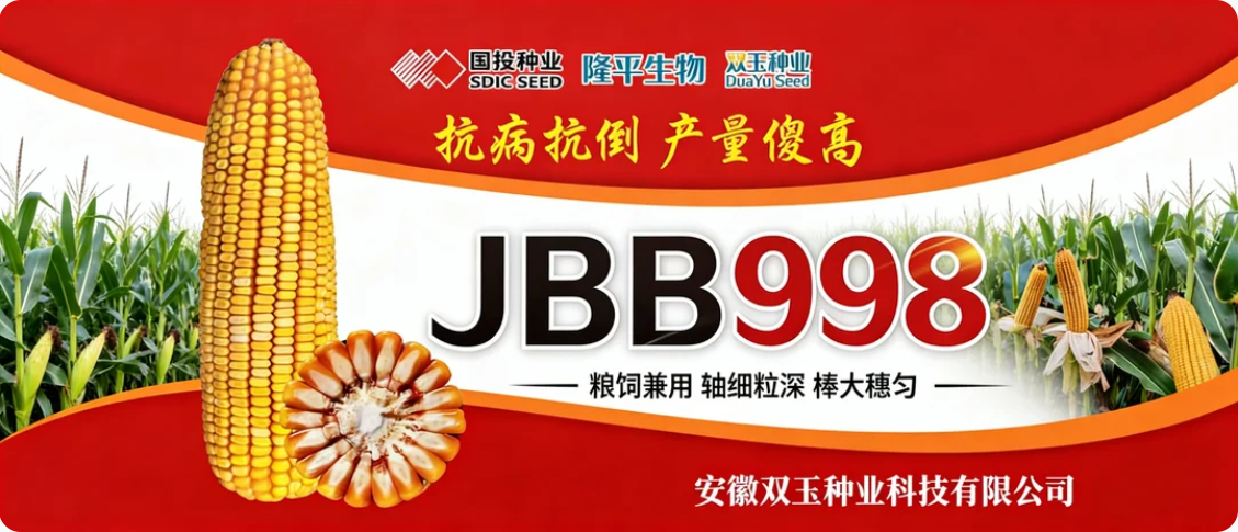 1765935850162929.png ScreenShot_2025-12-17_093442_245.png