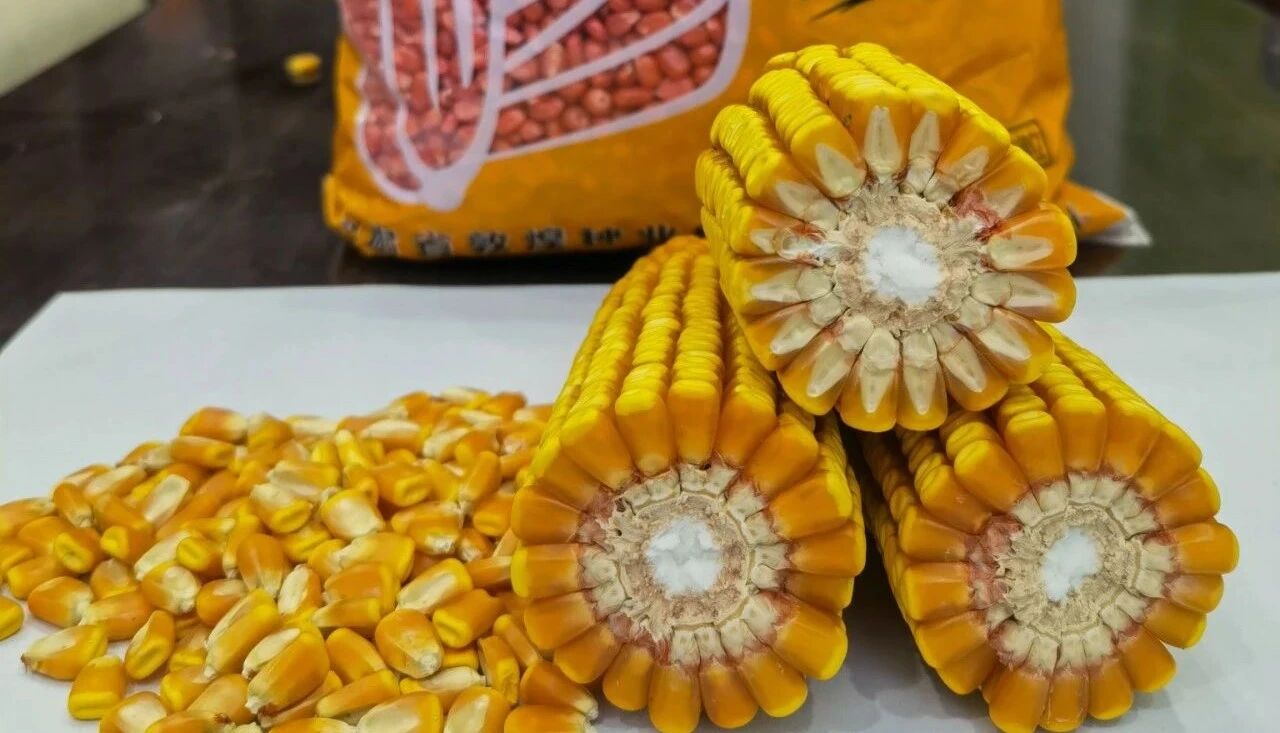 1765790214521797.jpg 微信图片_2025-12-15_165329_685.jpg